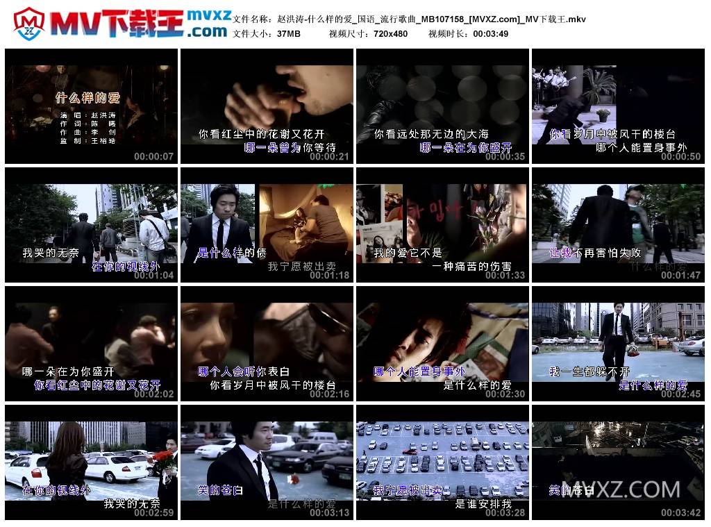 赵洪涛-什么样的爱_国语_流行歌曲_MB107158